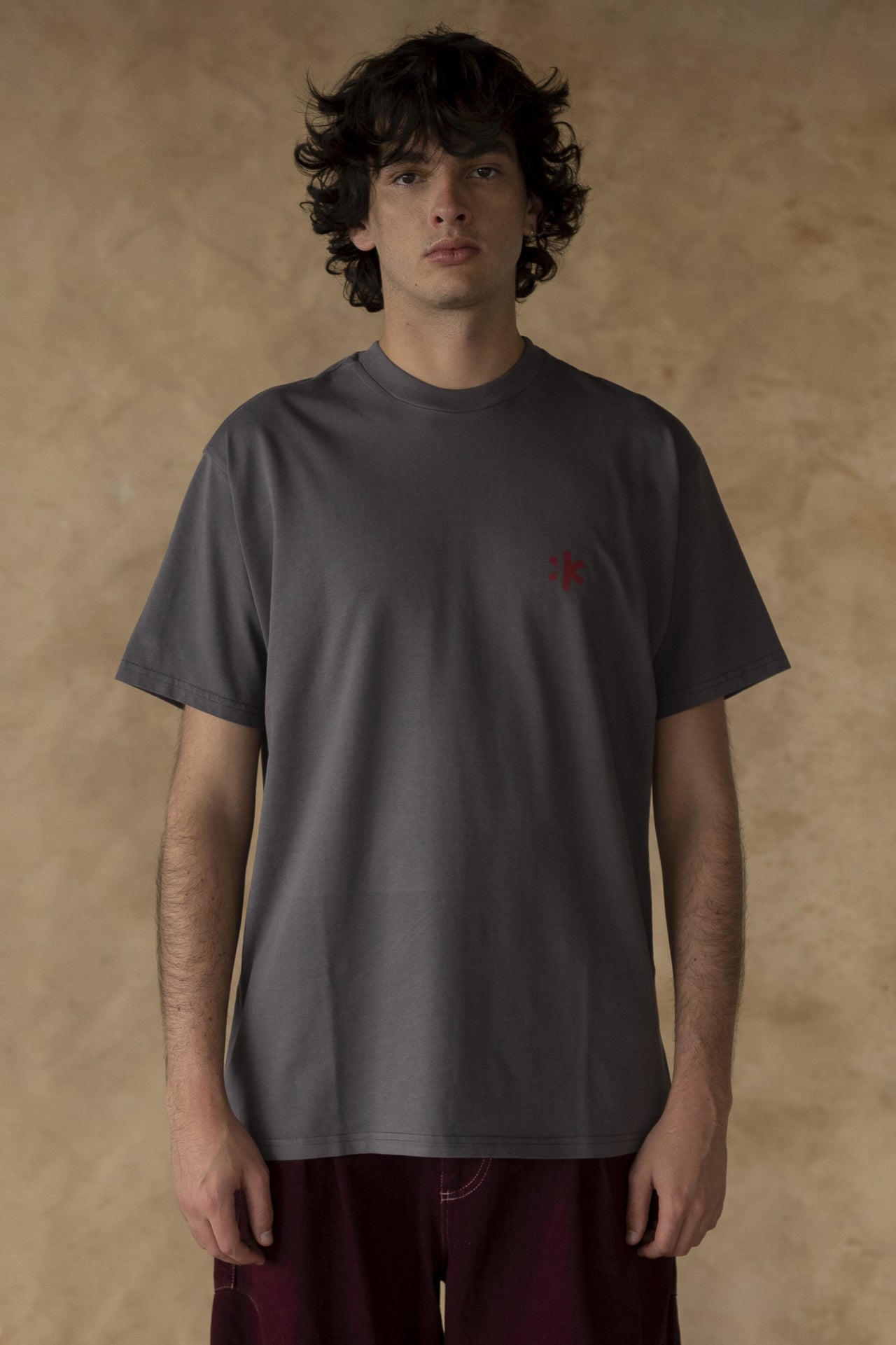 Camiseta Remedios gris oscuro